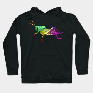 Colorful Grasshopper Hoodie